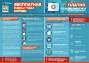 Инфографика