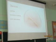 ДЕНЬ ЗДОРОВЬЯ МАЙ 2016 год